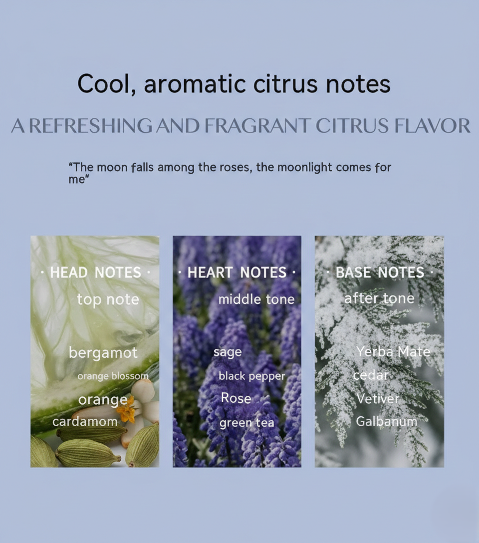 Aromatic Citrus Perfume